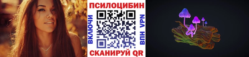 Купить где  Данилов  Псилоцибиновые грибы Psilocybine cubensis 